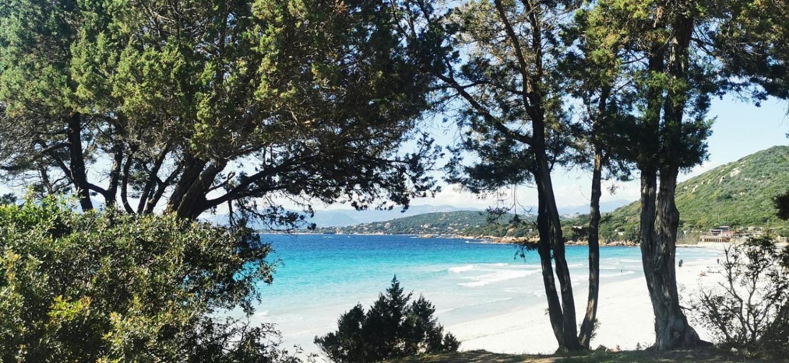 Studio Avec Terasse Vue Mer Porticcio  Kültér fotó